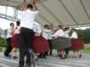 dansuripopularezileletvisht2010_small.jpg