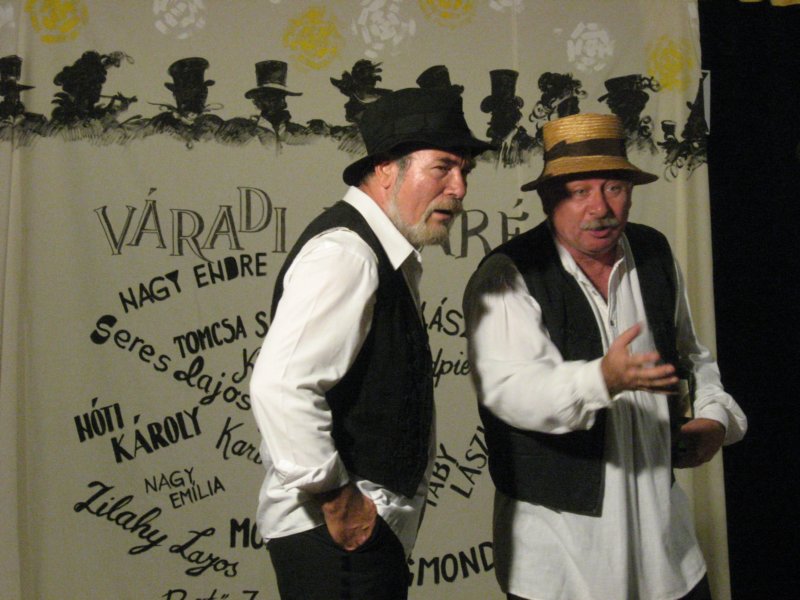 spectacoldeteatruzileletvisht2010.jpg